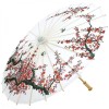 Premium Chinese Nylon Silk Bamboo Parasol - White Cherry Blossom with Birds