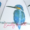 Emily Smith Umbrella - Skylar the Kingfisher