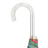 Clear Dome Umbrella with Spectrum Multicolour Trim