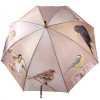 Autumn Birds Umbrella by Fallen Fruits