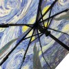 Stormking Auto Open & Close Folding Umbrella - Art Collection - Starry Night by Van Gogh