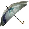 Stormking Classic Walking Length Umbrella - Art Collection - Ballet Class by Degas