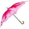 Stormking Classic Walking Length Umbrella - Floral Collection - Gerbera Daisy