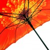 Stormking Classic Walking Length Umbrella - Floral Collection - Orange Daisy
