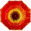 Stormking Classic Walking Length Umbrella - Floral Collection - Orange Daisy