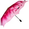 Stormking Auto Open & Close Folding Umbrella - Floral Collection - Gerbera Daisy