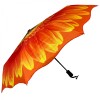 Stormking Auto Open & Close Folding Umbrella - Floral Collection - Orange Daisy