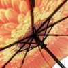 Stormking Auto Open & Close Folding Umbrella - Floral Collection - Orange Daisy