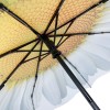 Stormking Auto Open & Close Folding Umbrella - Floral Collection - White Daisy