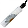 Stormking Auto Open & Close Folding Umbrella - Floral Collection - White Daisy