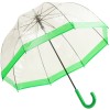 Soake Clear Deep Dome Umbrella - Green Trim