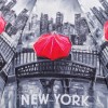 Stormking Classic Walking Length Umbrella - City Collection - New York Mono