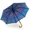 Stormking Classic Walking Length Umbrella - Nature Collection - Blue Stained Glass Dragonfly