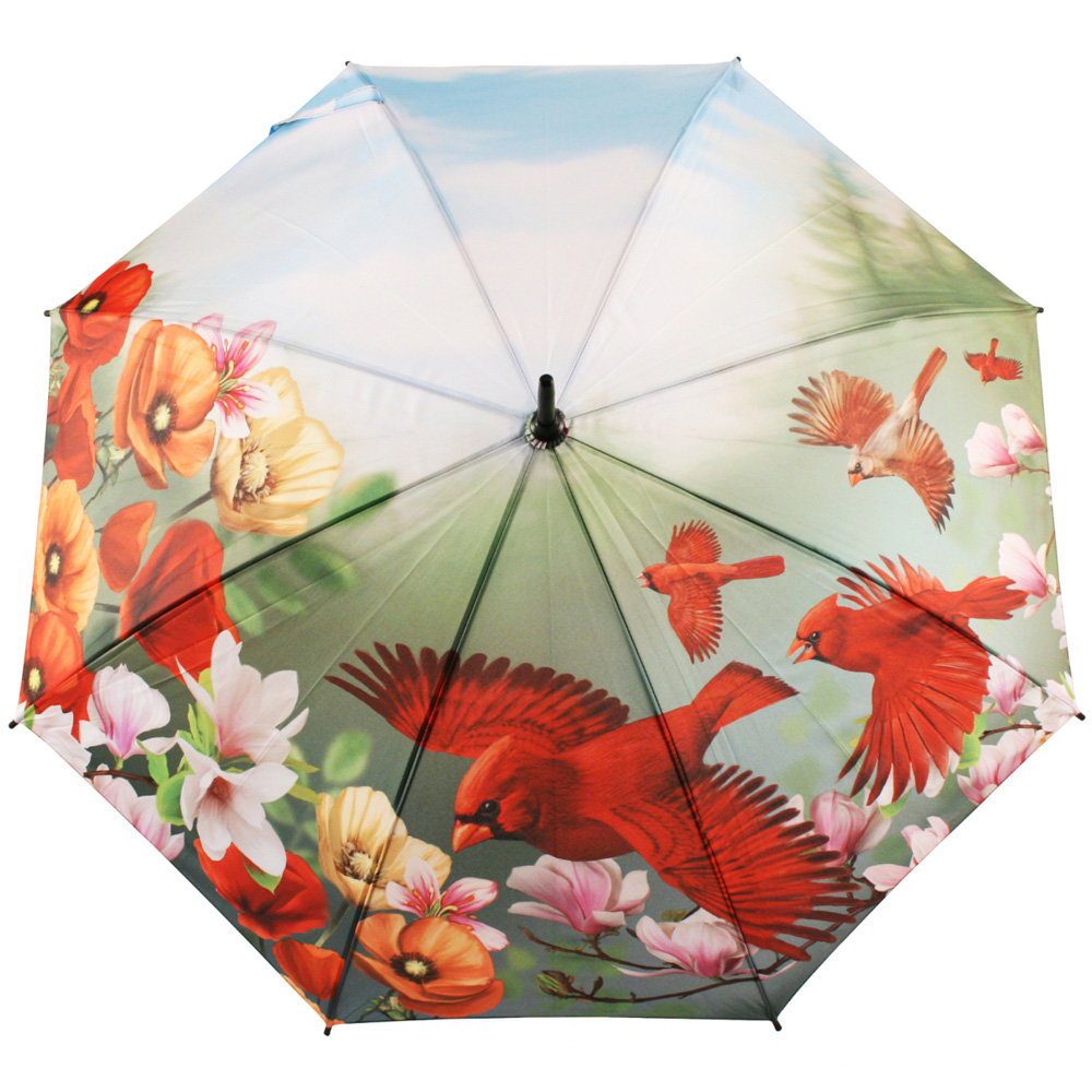 Bird Art Umbrellas