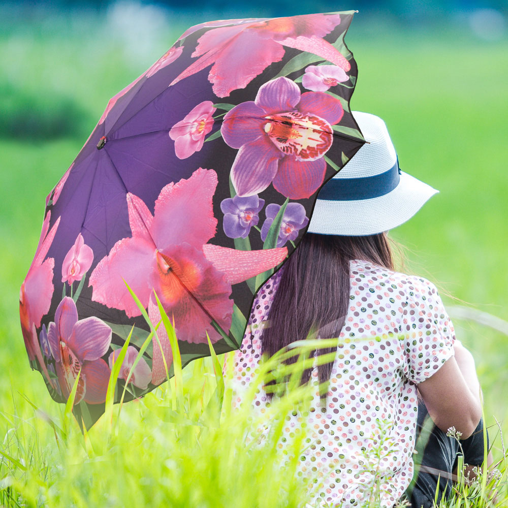 Art Folding Umbrellas