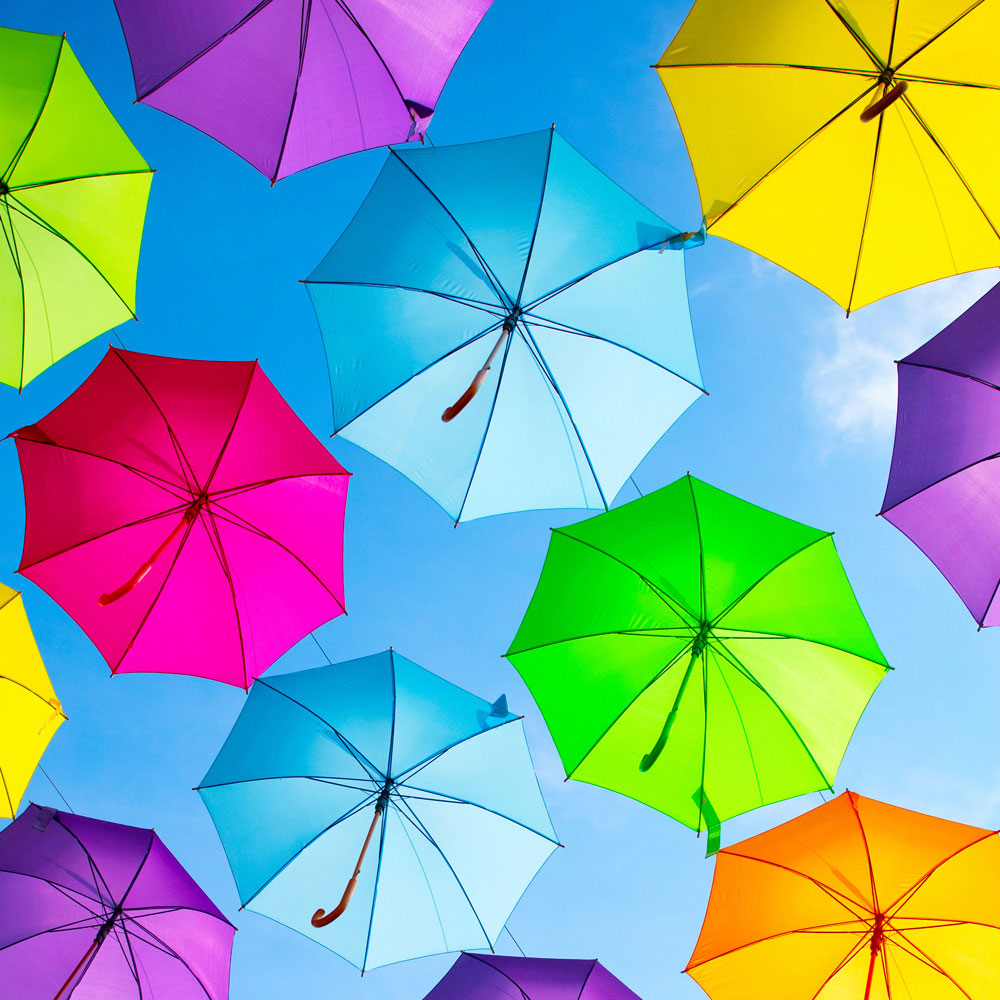 Plain Coloured Long Umbrellas