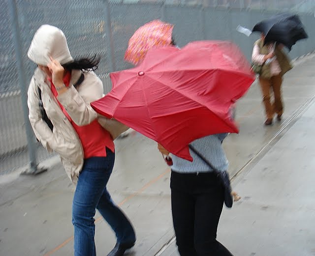 Vented Umbrellas for Windy Wintry Days