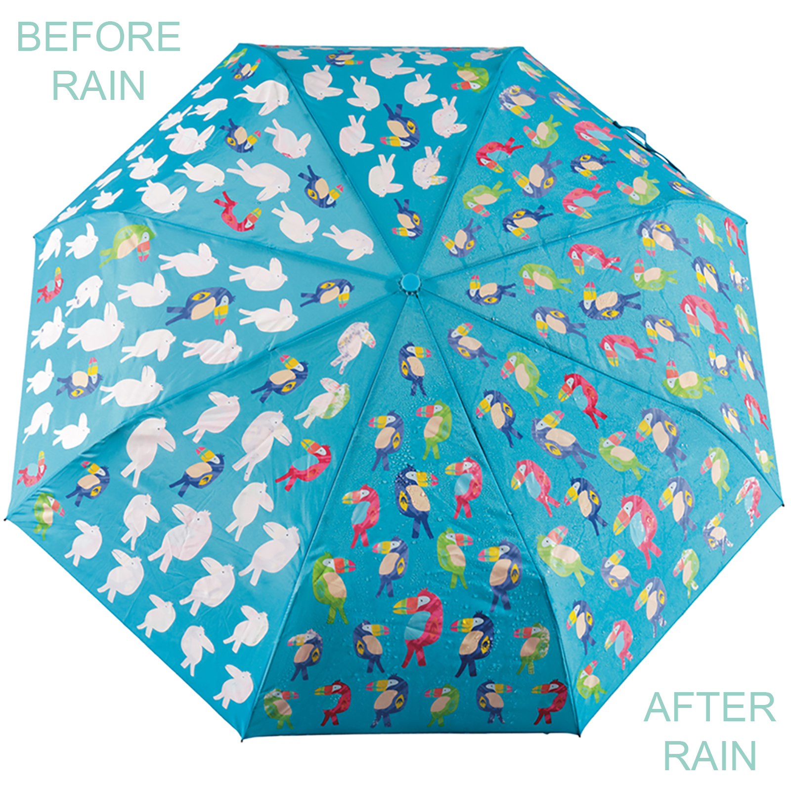 Colour Changing 'Big Kids' Folding Umbrella - Toucan