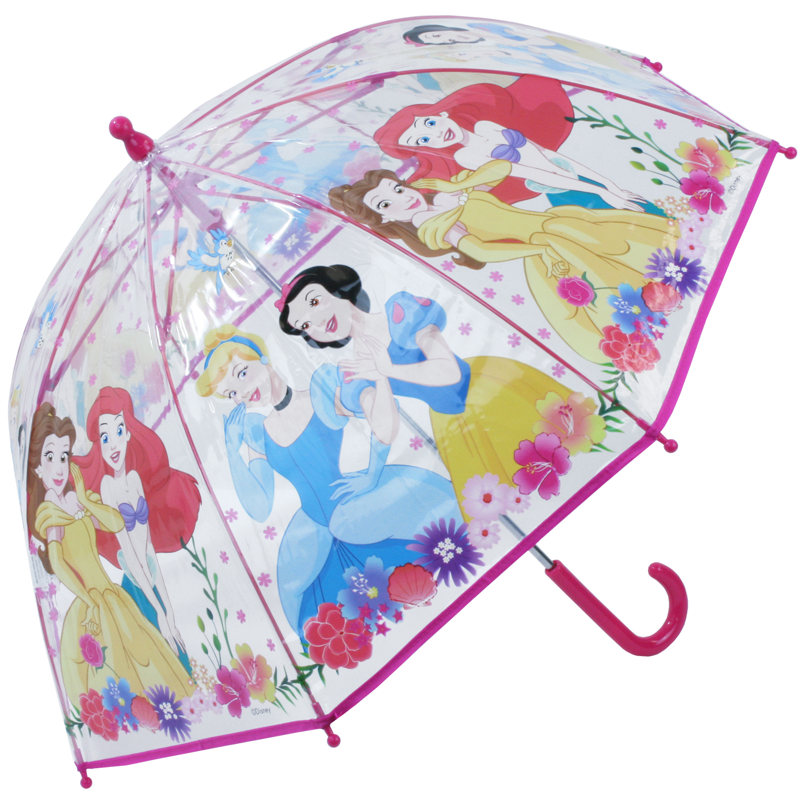Disney Princesses Children's Clear Dome Umbrella
