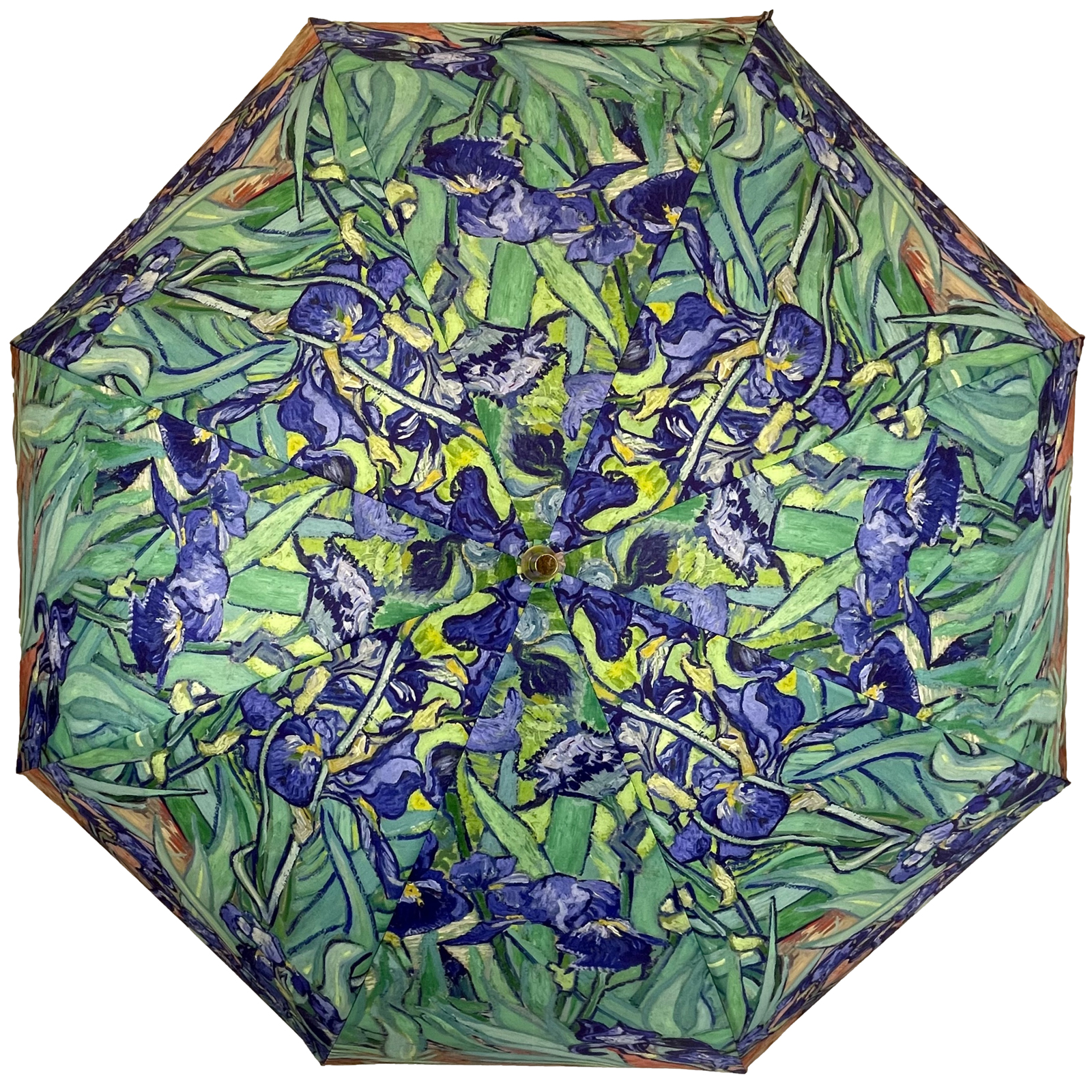 Stormking Classic Walking Length Umbrella - Art Collection - Irises by Van Gogh