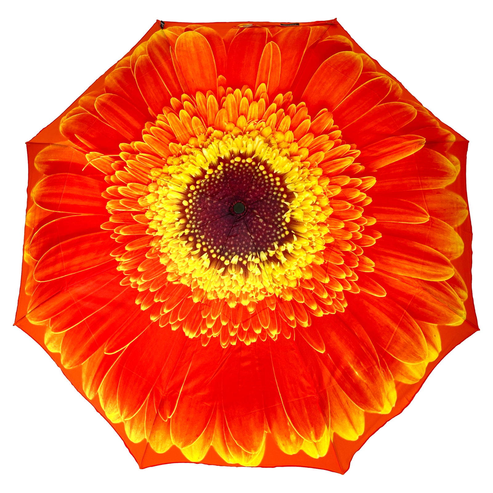 Stormking Auto Open & Close Folding Umbrella - Floral Collection - Orange Daisy