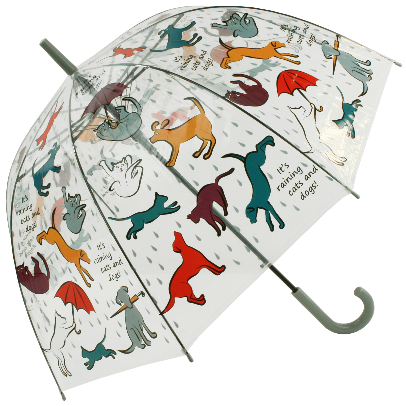 Fallen Fruits See-Through Umbrella - It's Raining Cats & Dogs