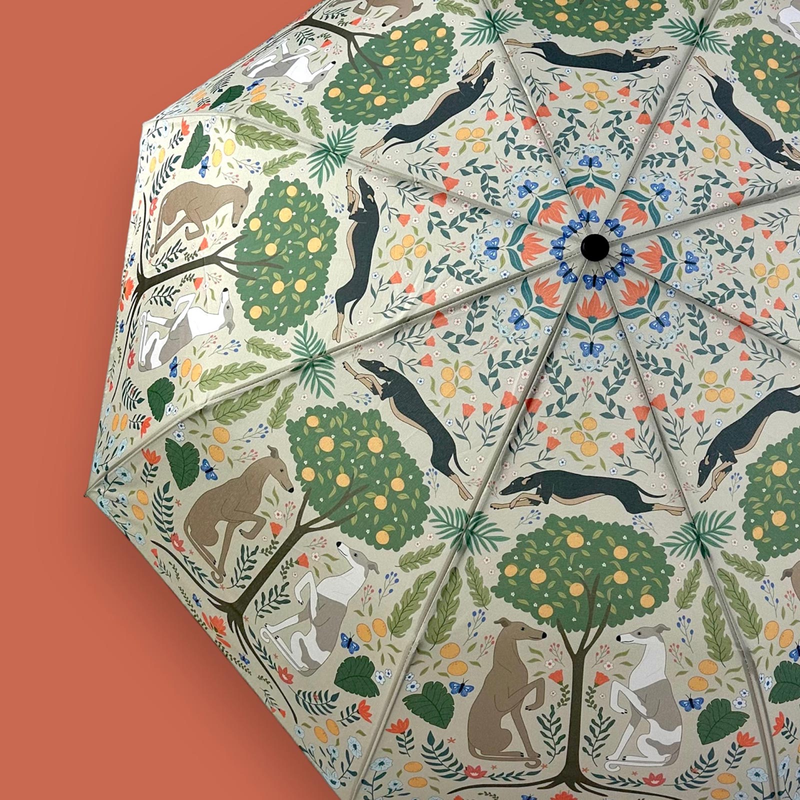 Greyhound Umbrella Greyhound Umbrella