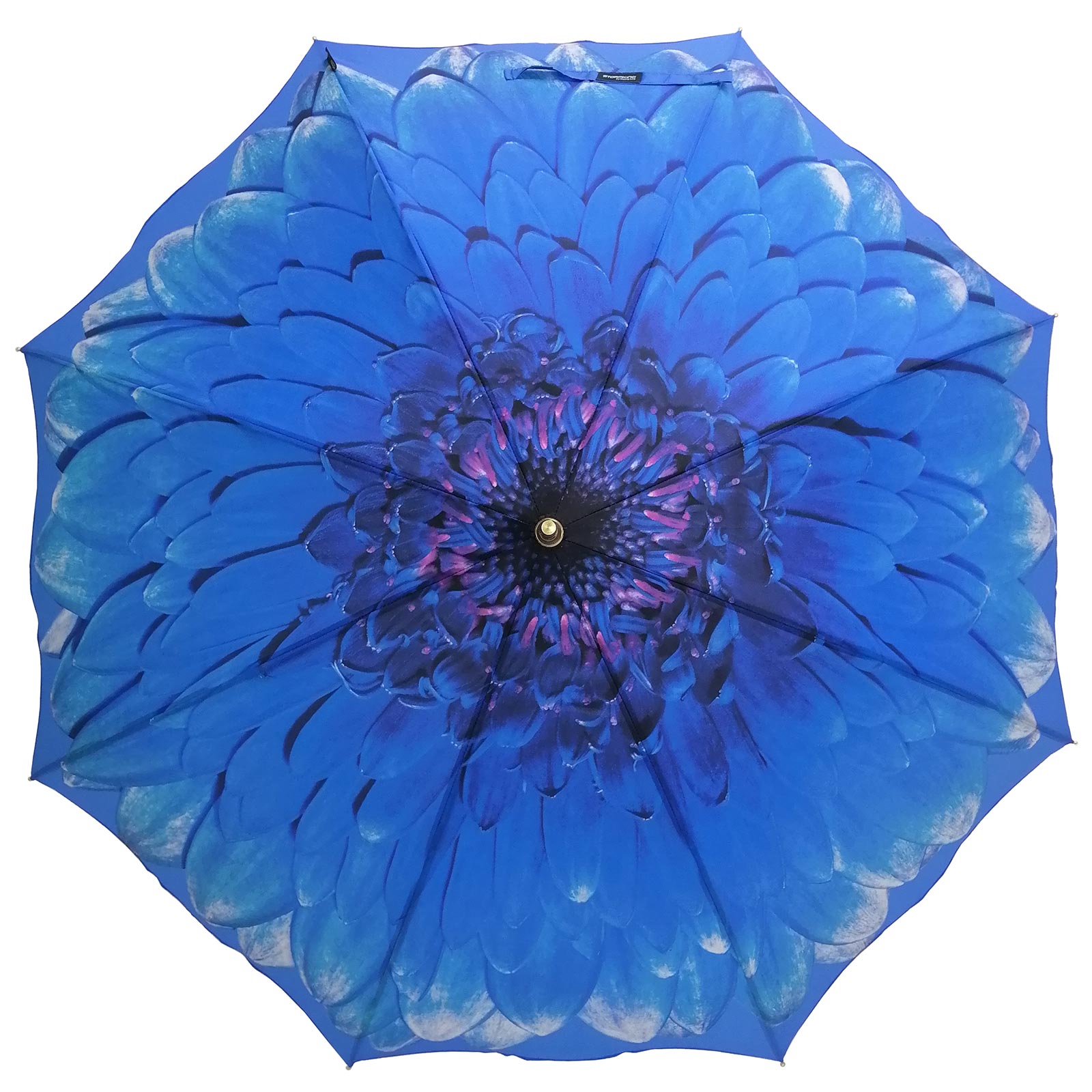 Country House Little Blue Daisy