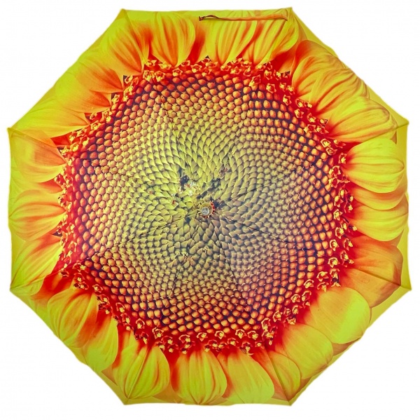 Stormking Auto Open & Close Folding Umbrella - Floral Collection - Sunflower