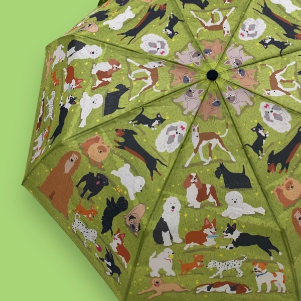 Raining cats and dogs umbrella 2025