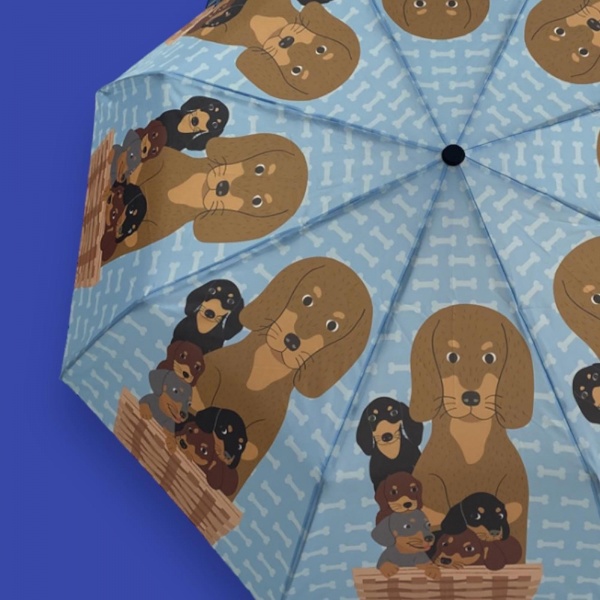 Umbrellas for dogs hotsell